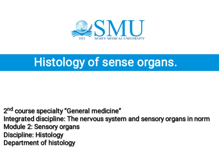 Histology of sense organs.pptx