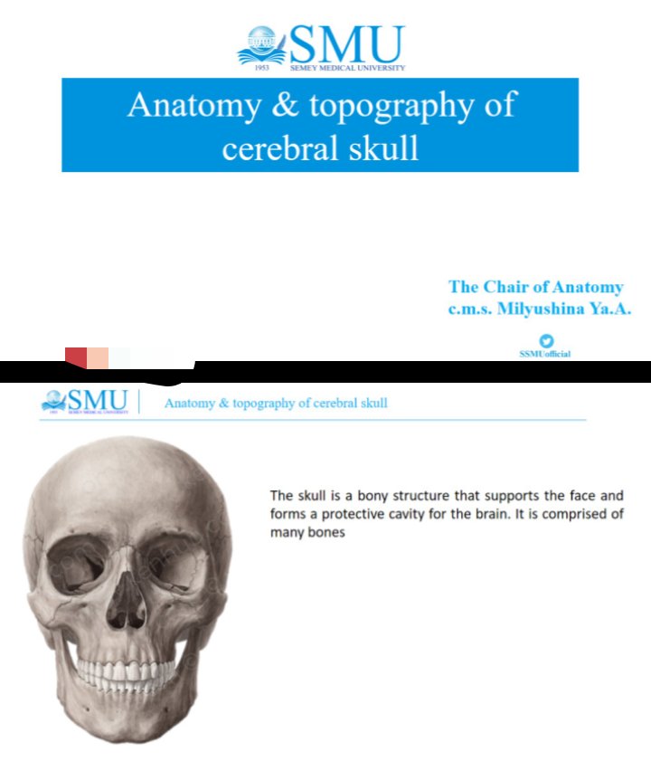 Anatomy topography of cerebral skull.pptx