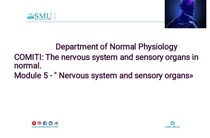 Physiology of spinal cord.ppt